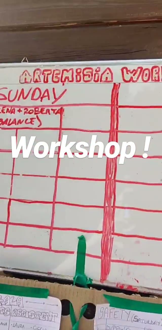 Story : planning des workshops de l’Artemisia Fire Gathering 2019